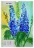 Blumen in Acryl (Wandkalender 2026 DIN... - Bild 12