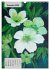 Blumen in Acryl (Wandkalender 2026 DIN... - Bild 5