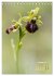 Orchideen in freier Wildbahn... - Bild 7