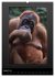 Fotogalerie Fotogalerie