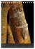 GECKOS (Tischkalender 2026 DIN A5... - Bild 13