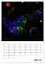 Im Weltraum (Wandkalender 2026 DIN A2... - Bild 12