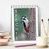 Spechte (Tischkalender 2026 DIN A5... - Bild 2