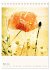 Blumige Fotomalerei (Tischkalender 2026... - Bild 9