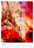 Die FARBEN der Frauen (Wandkalender... - Bild 12