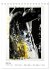 Overpainted ... Männer (Tischkalender... - Bild 11