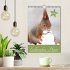 Eichhörnchen - Planer (Wandkalender... - Bild 2