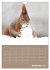 Eichhörnchen - Planer (Wandkalender... - Bild 5