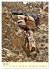 Klettern und Bergsteigen (Wandkalender... - Bild 13