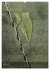 Naturmelancholie 2026 (Wandkalender... - Bild 10