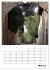 Am Gardasee (Wandkalender 2026 DIN A3... - Bild 11