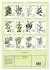 Heilpflanzen (Wandkalender 2026 DIN A3... - Bild 6