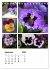 Blüten Collagen (Tischkalender 2026... - Bild 15