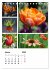 Blüten Collagen (Tischkalender 2026... - Bild 7