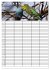 Wellensittiche (Tischkalender 2026 DIN... - Bild 13