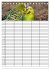 Wellensittiche (Tischkalender 2026 DIN... - Bild 7