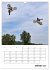 Motocross Terminplaner (Wandkalender... - Bild 7