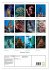 Abenteuer Tauchen (Wandkalender 2026... - Bild 6