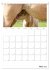 Fohlen und Jungpferde (Tischkalender... - Bild 11