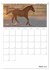 Fohlen und Jungpferde (Tischkalender... - Bild 12