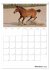 Fohlen und Jungpferde (Tischkalender... - Bild 3