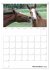 Fohlen und Jungpferde (Tischkalender... - Bild 4