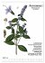 Heilpflanzen (hochwertiger Premium... - Bild 9