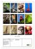 Tiere - Animals (Wandkalender 2026 DIN... - Bild 6