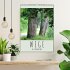 Wege als Traumpfade (Wandkalender 2026... - Bild 2