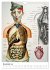 Unter die Haut (Wandkalender 2026 DIN... - Bild 2