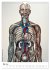 Unter die Haut (Wandkalender 2026 DIN... - Bild 11