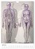 Unter die Haut (Wandkalender 2026 DIN... - Bild 12