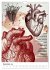 Unter die Haut (Wandkalender 2026 DIN... - Bild 3