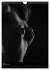 Erotische Silhouetten (Wandkalender... - Bild 9
