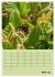 Bienenplaner (hochwertiger Premium... - Bild 11