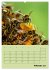 Bienenplaner (hochwertiger Premium... - Bild 7