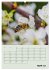 Bienenplaner (hochwertiger Premium... - Bild 9