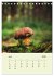 Wundersame Welt der Pilze... - Bild 12