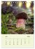 Wundersame Welt der Pilze... - Bild 13