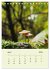 Wundersame Welt der Pilze... - Bild 10