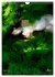 ZAUBERGARTEN WUNDERWESEN (Wandkalender... - Bild 12
