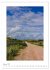 Insel Amrum (Wandkalender 2026 DIN A2... - Bild 8
