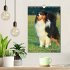 Australian Shepherd (Wandkalender 2026... - Bild 2