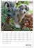 Australian Shepherd (Wandkalender 2026... - Bild 12