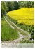 Wege als Traumpfade (Wandkalender 2026... - Bild 11