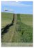 Wege als Traumpfade (Wandkalender 2026... - Bild 13