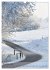 Wege als Traumpfade (Wandkalender 2026... - Bild 5