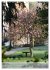 Wege als Traumpfade (Wandkalender 2026... - Bild 10