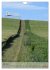 Wege als Traumpfade (Wandkalender 2026... - Bild 13