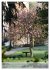 Wege als Traumpfade (Wandkalender 2026... - Bild 10